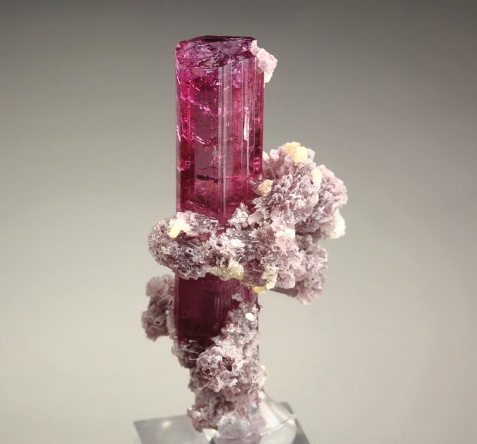 gem TOURMALINE var. ELBAITE, LEPIDOLITE, MUSCOVITE