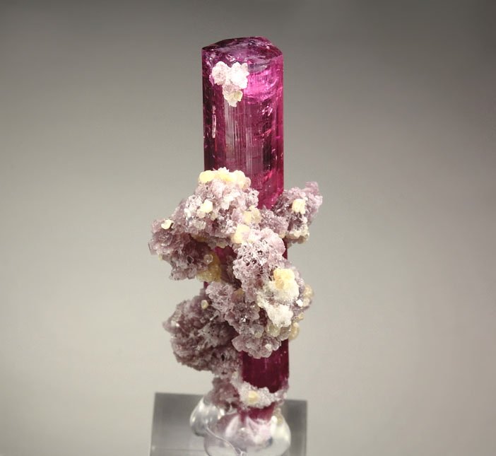 gem TOURMALINE var. ELBAITE, LEPIDOLITE, MUSCOVITE