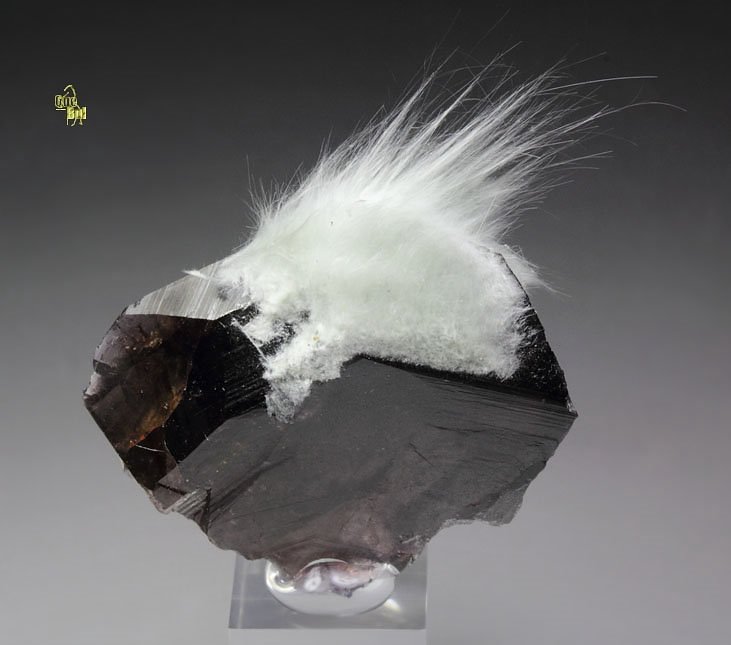 gemmy AXINITE-Fe, AMPHIBOLE GROUP var. BYSSOLITE