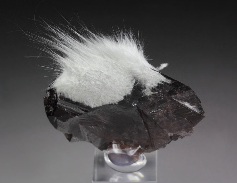 gemmy AXINITE-Fe, AMPHIBOLE GROUP var. BYSSOLITE