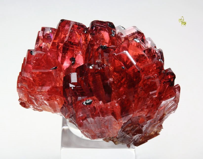 gem RHODOCHROSITE, MANGANITE