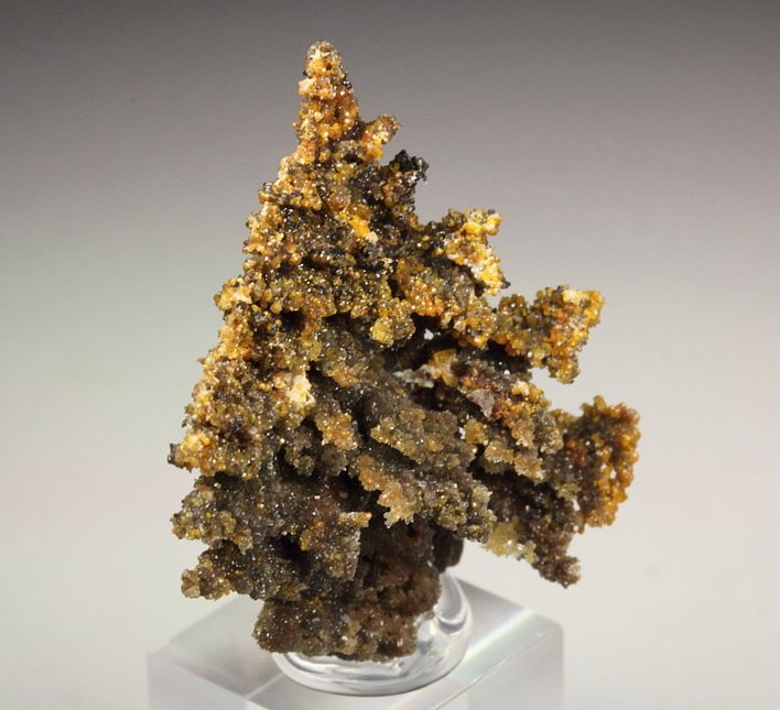 WILLEMITE pseudomorph after DESCLOIZITE, MIMETITE 