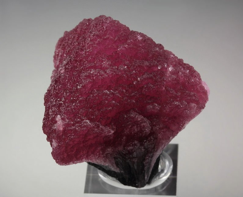 TOURMALINE var. RUBELLITE