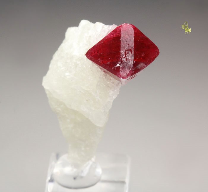 gemmy SPINEL