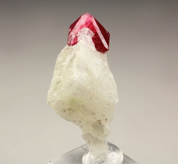 gemmy SPINEL