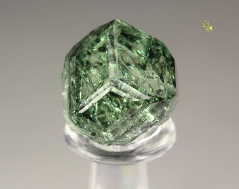 gem GARNET var. GROSSULAR var. TSAVORITE