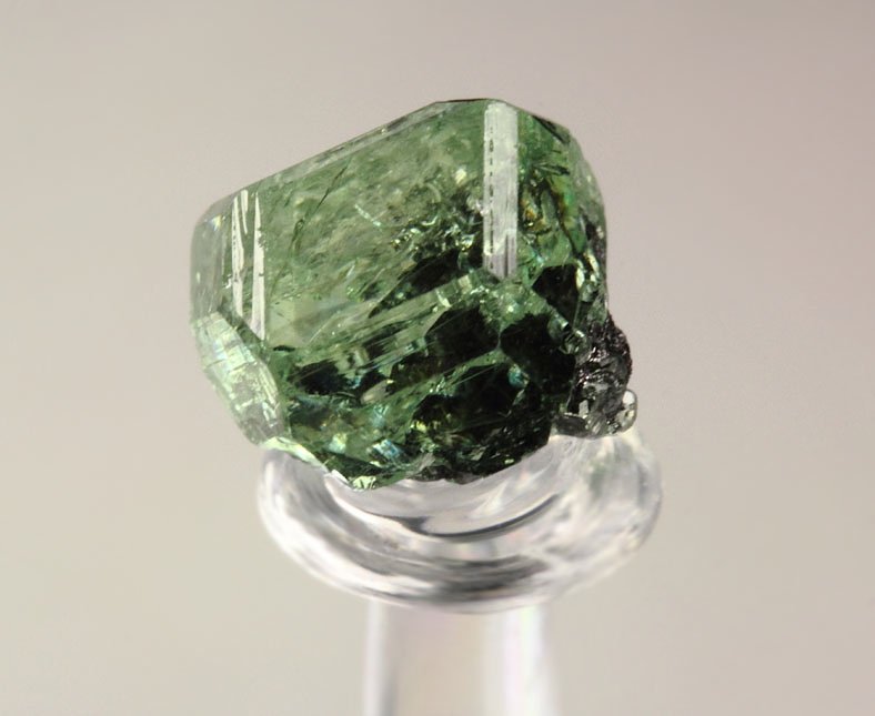 gem GARNET var. GROSSULAR var. TSAVORITE