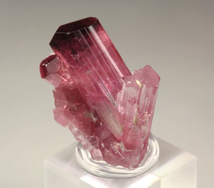 gem TOURMALINE var. ELBAITE