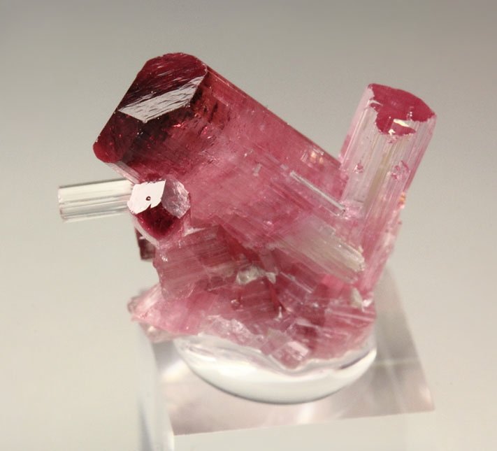 gem TOURMALINE var. ELBAITE