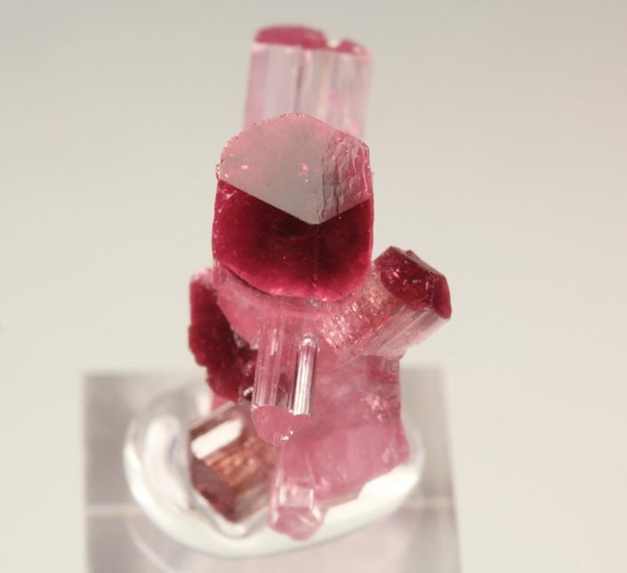 gem TOURMALINE var. ELBAITE