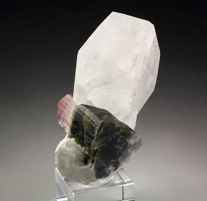 gem bi-terminated TOURMALINE var. ELBAITE multicolor, QUARTZ, ALBITE