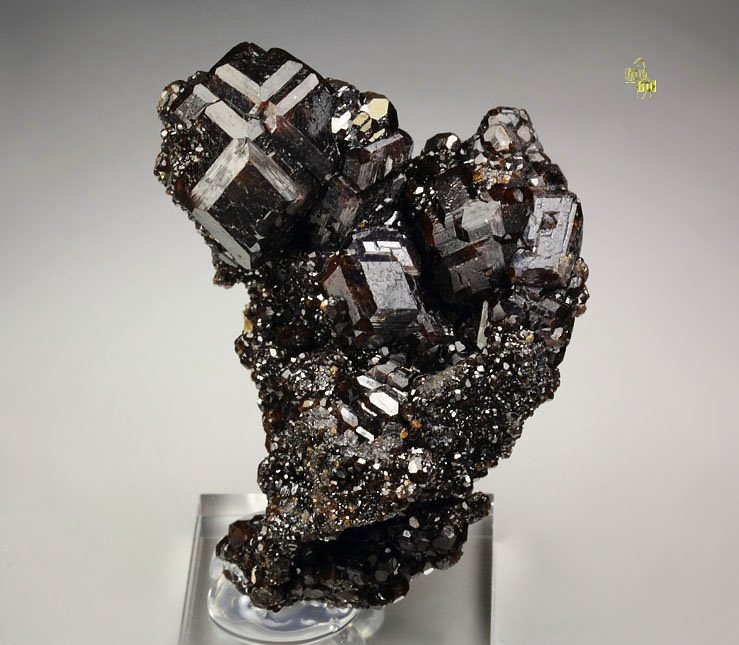 new find - GARNET var. ANDRADITE var. MELANITE