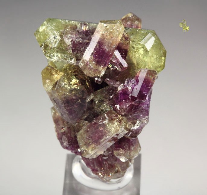 bi-terminated VESUVIANITE bi-color