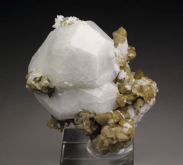 ANALCIME, SIDERITE, ALBITE