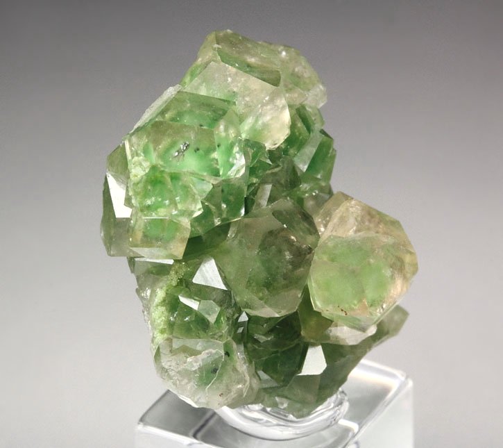 gem GARNET var. GROSSULAR with GREEN CHROMIAN PHANTOMS