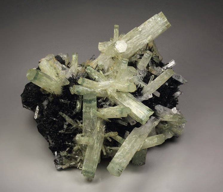 bi-color BERYL var. AQUAMARINE, TOURMALINE var. SCHORL