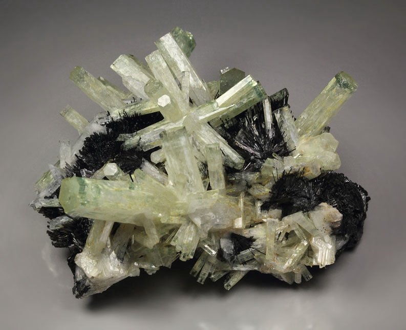 bi-color BERYL var. AQUAMARINE, TOURMALINE var. SCHORL