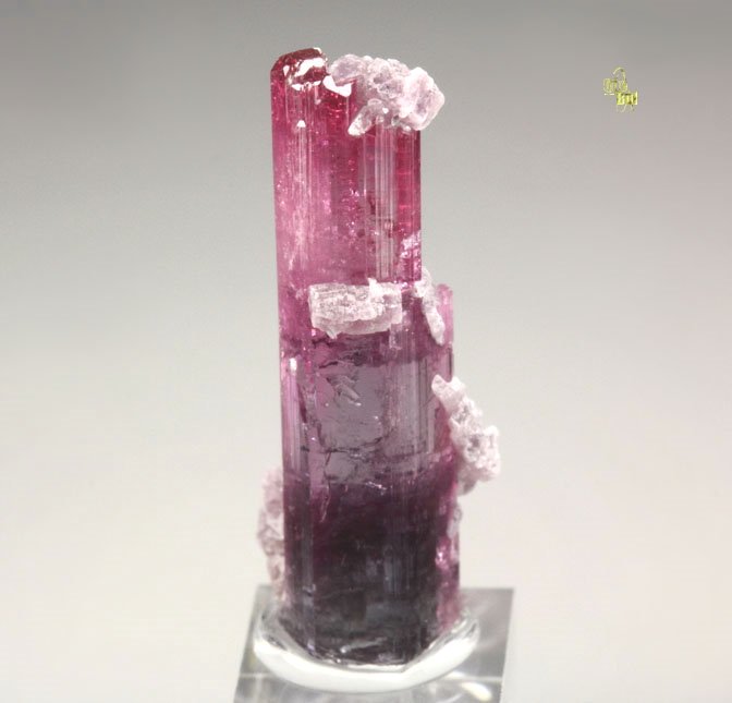 gem TOURMALINE var. ELBAITE, LEPIDOLITE