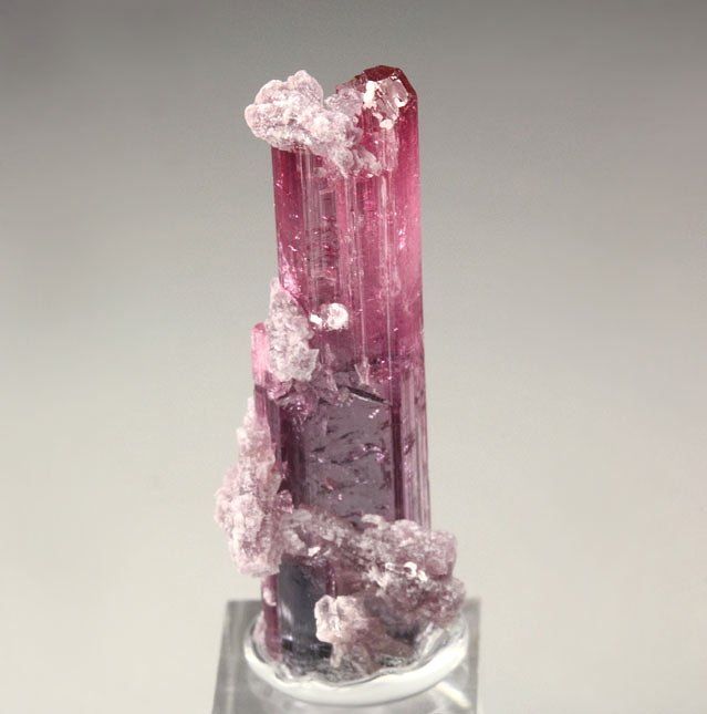 gem TOURMALINE var. ELBAITE, LEPIDOLITE