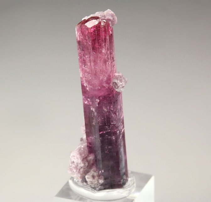 gem TOURMALINE var. ELBAITE, LEPIDOLITE