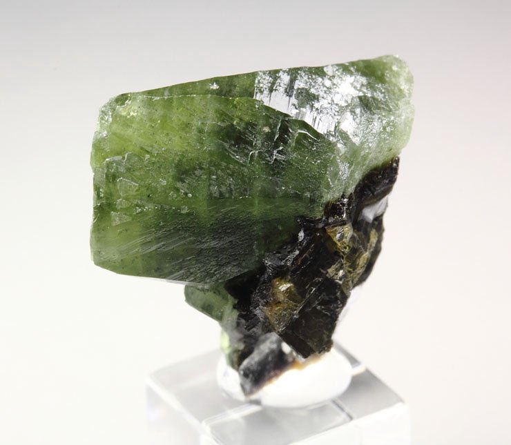 gemmy LUDLAMITE, SIDERITE