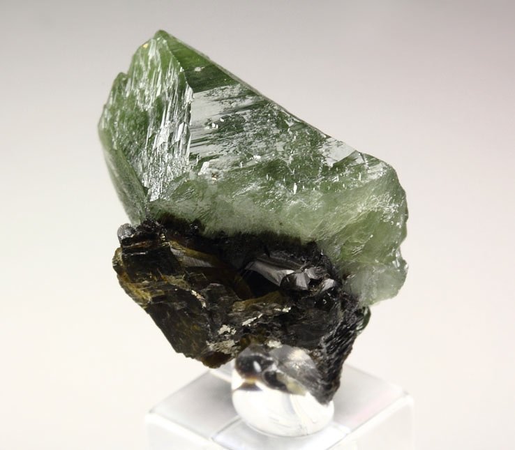 gemmy LUDLAMITE, SIDERITE