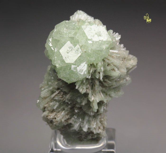 colorless gem GARNET var. GROSSULAR, DIOPSIDE