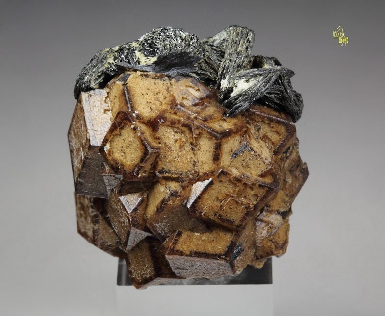 GARNET var. ANDRADITE, HEMATITE iron rose