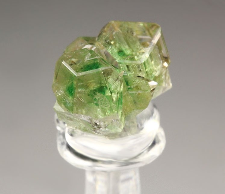 gem GARNET var. GROSSULAR with GREEN CHROMIAN PHANTOMS