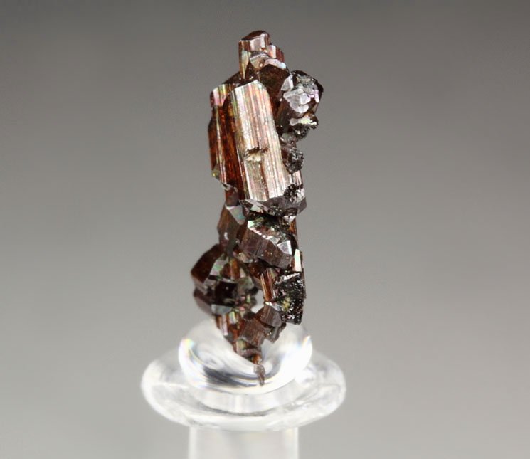 twinned RUTILE