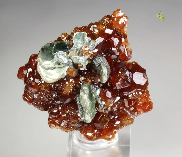 gem GARNET var. HESSONITE, CLINOCHLORE