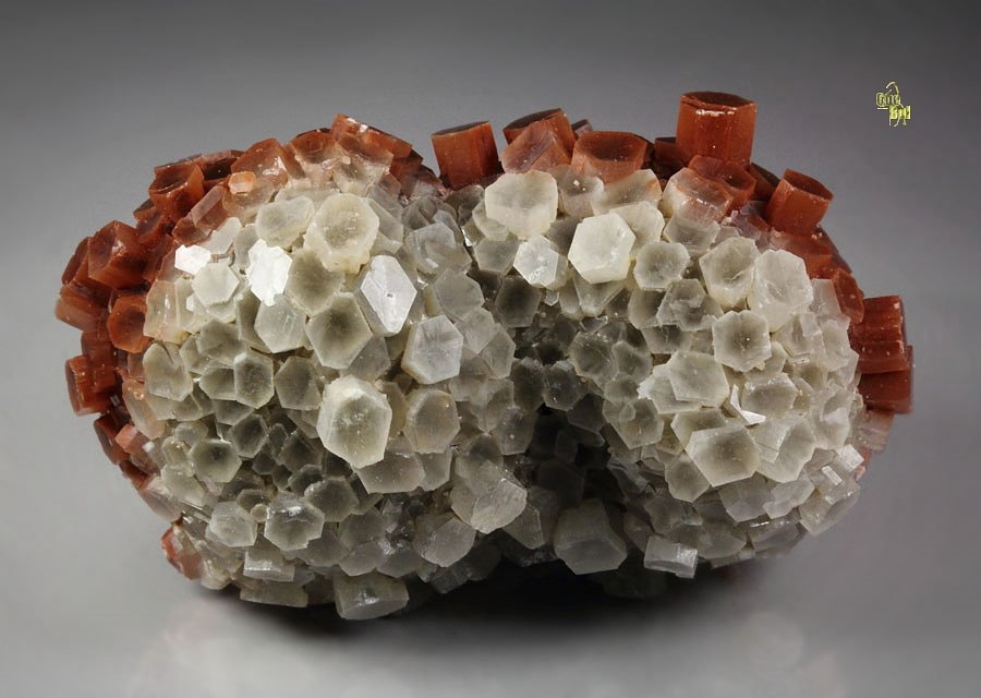 bi-color ARAGONITE floater