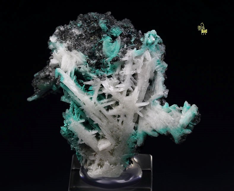 reticulated CERUSSITE, MALACHITE