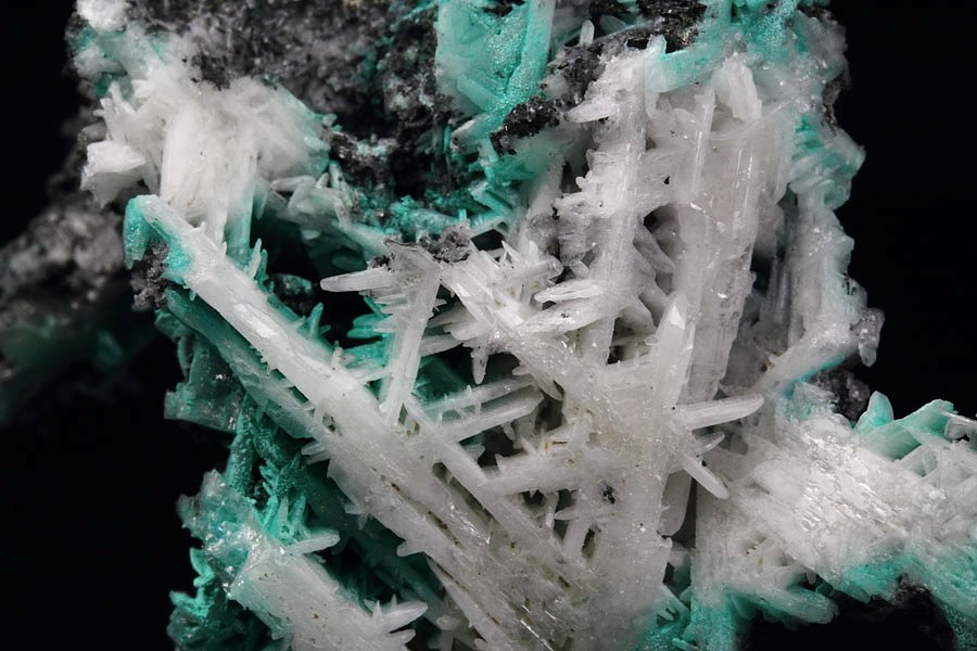 reticulated CERUSSITE, MALACHITE