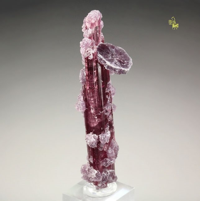 gem TOURMALINE var. ELBAITE, LEPIDOLITE