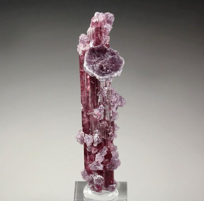 gem TOURMALINE var. ELBAITE, LEPIDOLITE