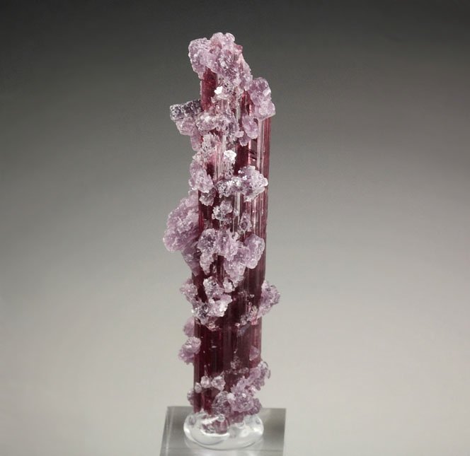 gem TOURMALINE var. ELBAITE, LEPIDOLITE