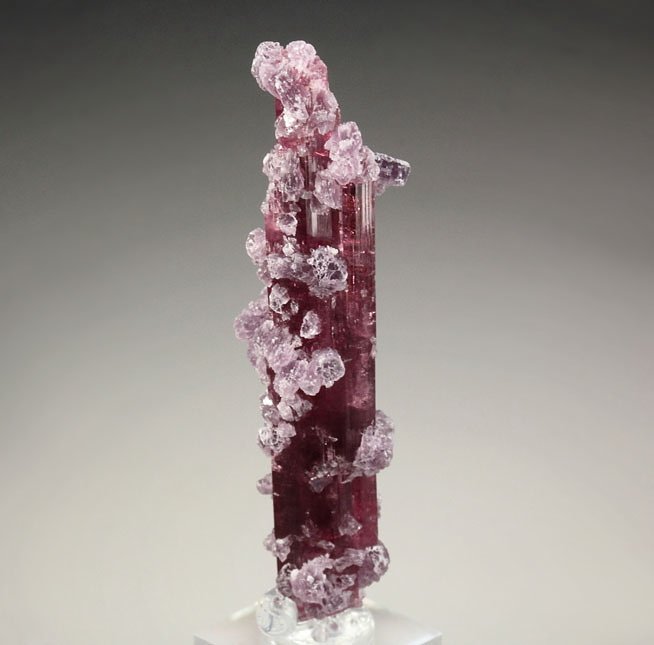 gem TOURMALINE var. ELBAITE, LEPIDOLITE