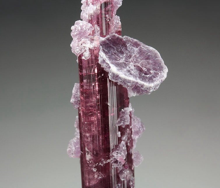 gem TOURMALINE var. ELBAITE, LEPIDOLITE