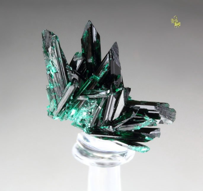 BROCHANTITE