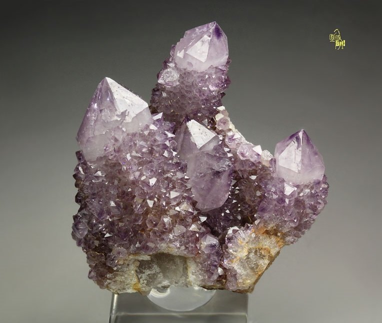 cactus QUARTZ var. AMETHYST