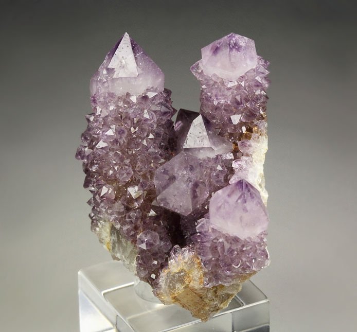 cactus QUARTZ var. AMETHYST