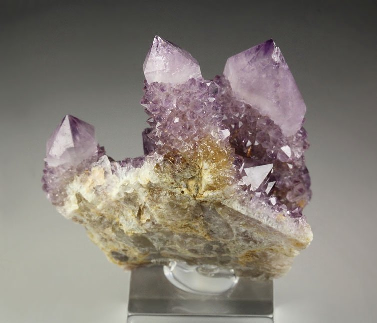 cactus QUARTZ var. AMETHYST