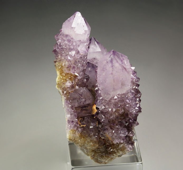 cactus QUARTZ var. AMETHYST