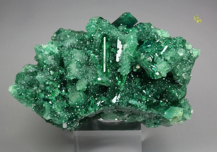 gem VESUVIANITE var. CHROMIAN