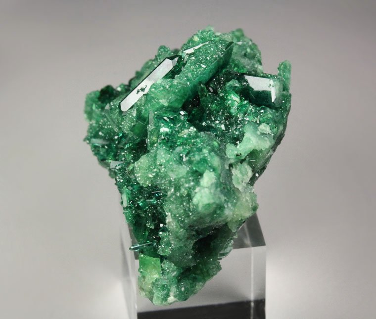 gem VESUVIANITE var. CHROMIAN