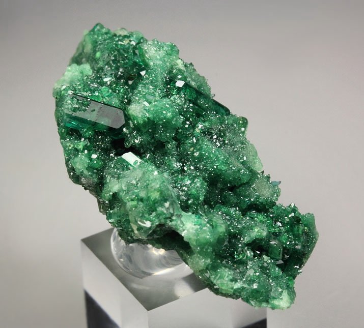 gem VESUVIANITE var. CHROMIAN