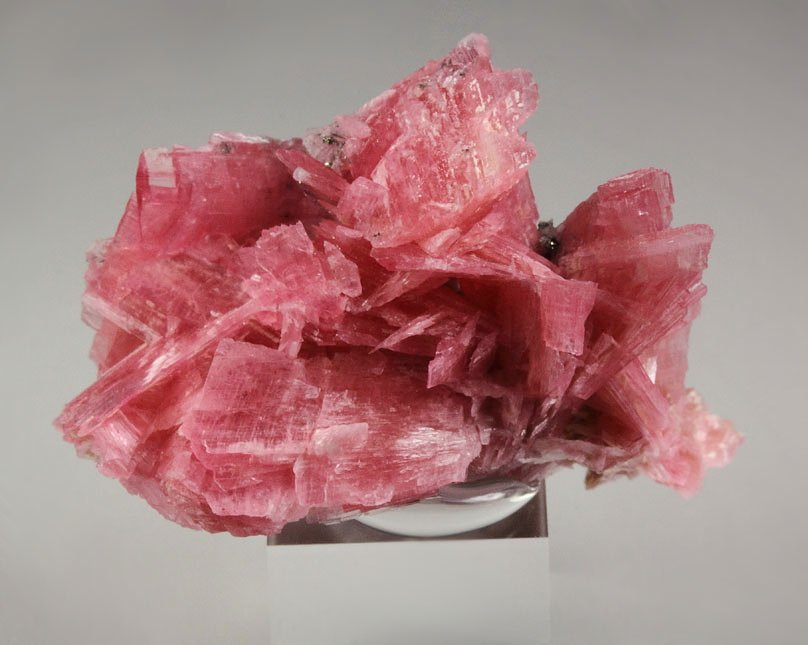 RHODONITE