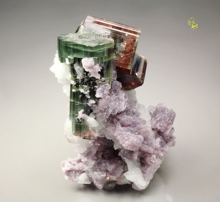 gem multicolor TOURMALINE var. ELBAITE, LEPIDOLITE, ALBITE var. CLEAVELANDITE