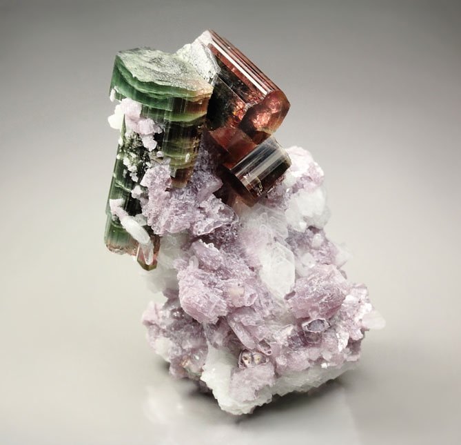 gem multicolor TOURMALINE var. ELBAITE, LEPIDOLITE, ALBITE var. CLEAVELANDITE